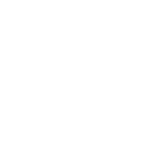 Konileads logo